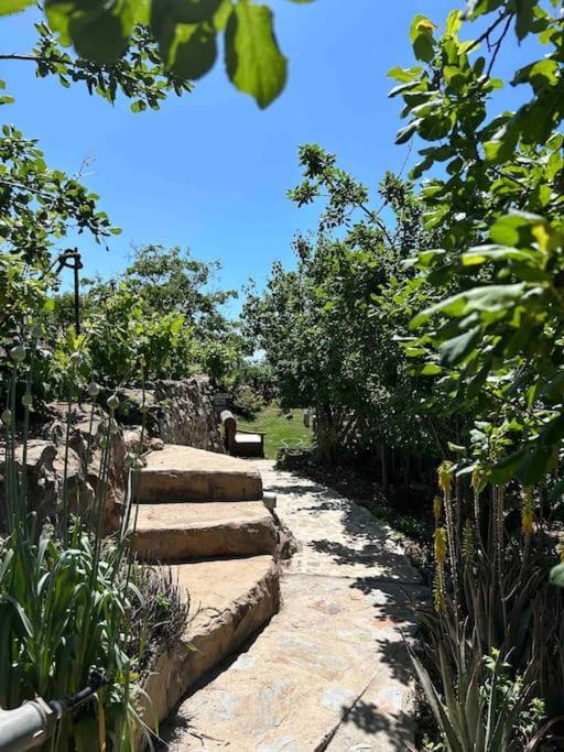 Lilly'S Finca - Romantischter Rueckzugsort - Pool Vilaflor Ngoại thất bức ảnh