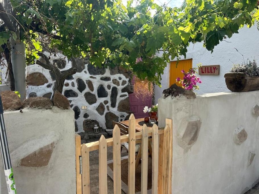 Lilly'S Finca - Romantischter Rueckzugsort - Pool Vilaflor Ngoại thất bức ảnh