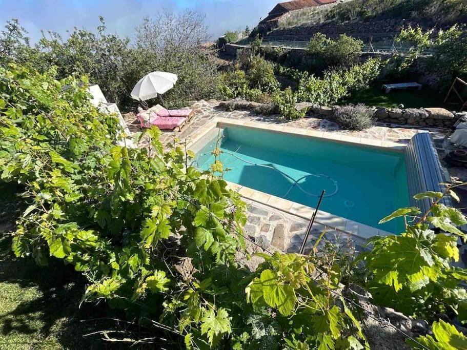 Lilly'S Finca - Romantischter Rueckzugsort - Pool Vilaflor Ngoại thất bức ảnh
