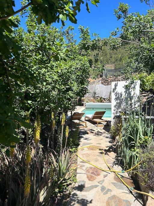 Lilly'S Finca - Romantischter Rueckzugsort - Pool Vilaflor Ngoại thất bức ảnh