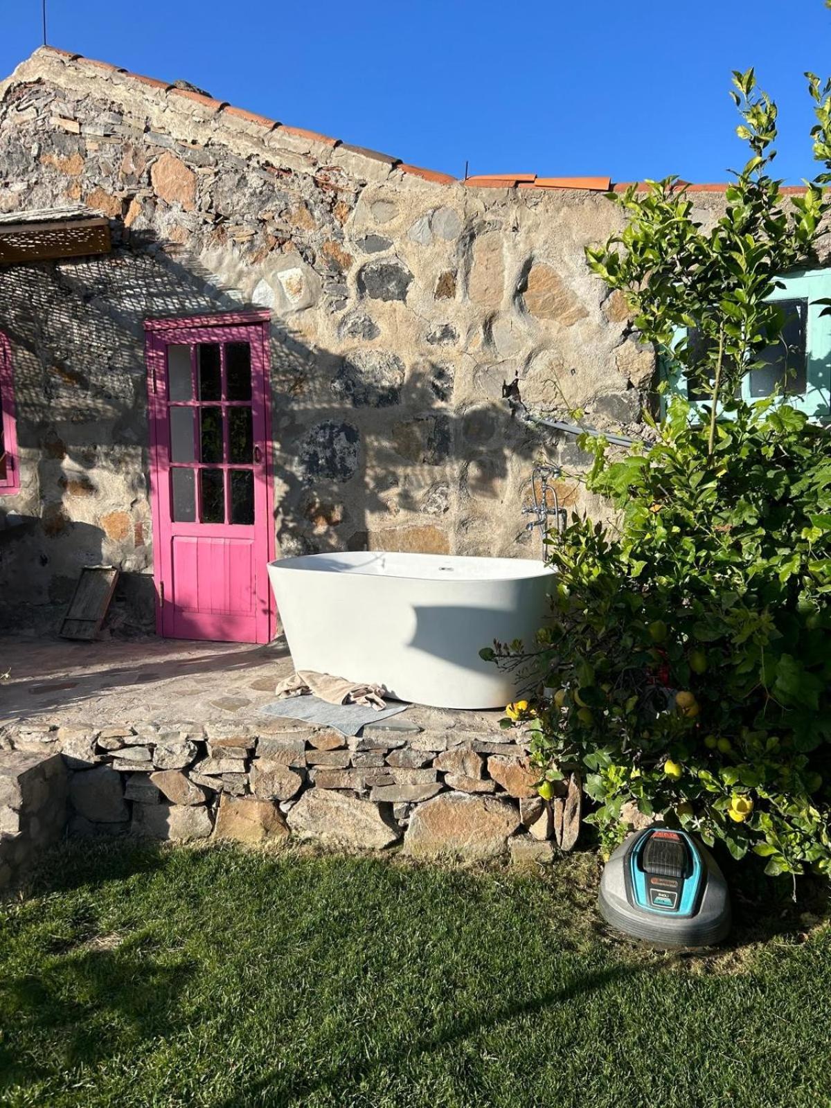 Lilly'S Finca - Romantischter Rueckzugsort - Pool Vilaflor Ngoại thất bức ảnh